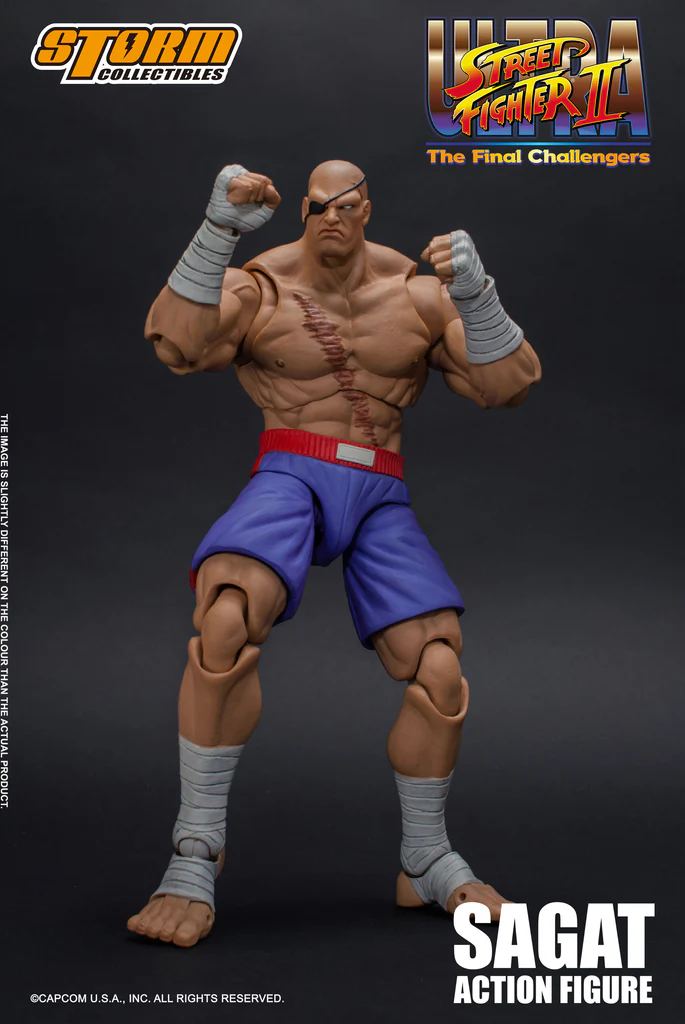 SAGAT - Ultra Street Fighter II: The Final Challengers (MIB) - Image 5
