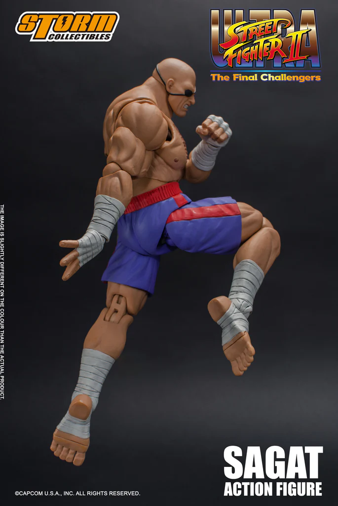 SAGAT - Ultra Street Fighter II: The Final Challengers (MIB) - Image 3