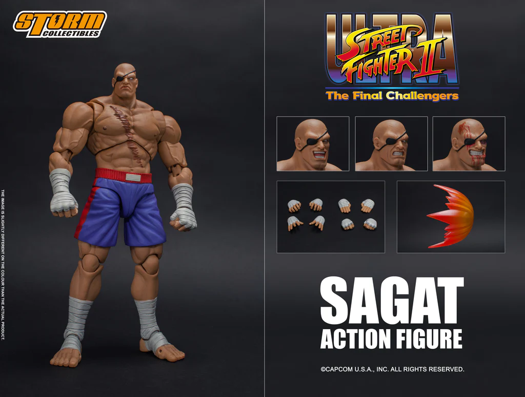 SAGAT - Ultra Street Fighter II: The Final Challengers (MIB) - Image 2